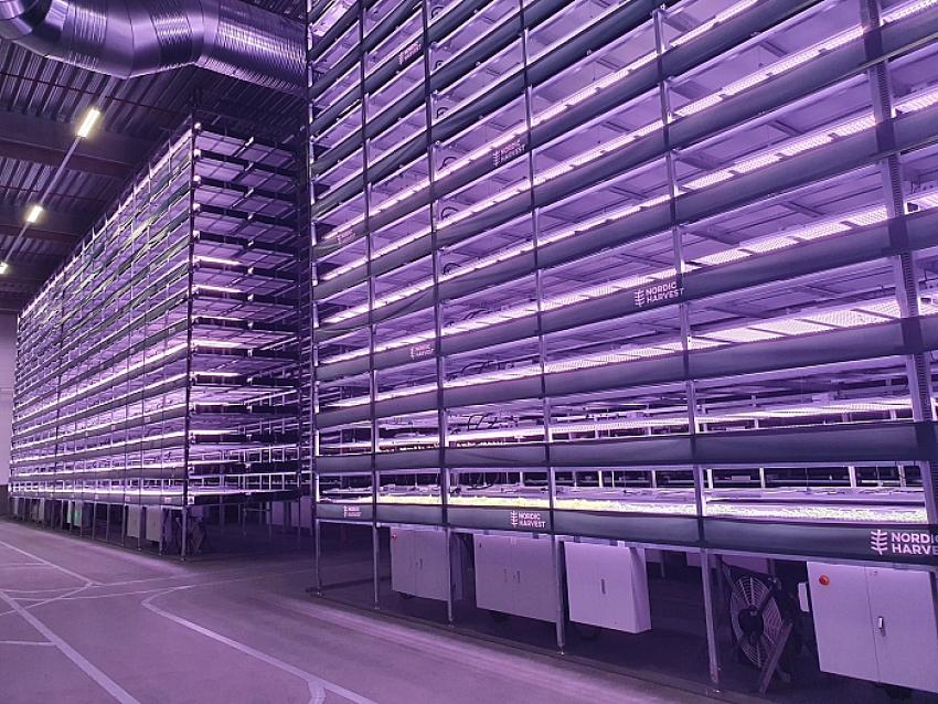 Danimarka’da 14 katlı 'dikey tarla' ile yılda 15 defa hasat yapılacak