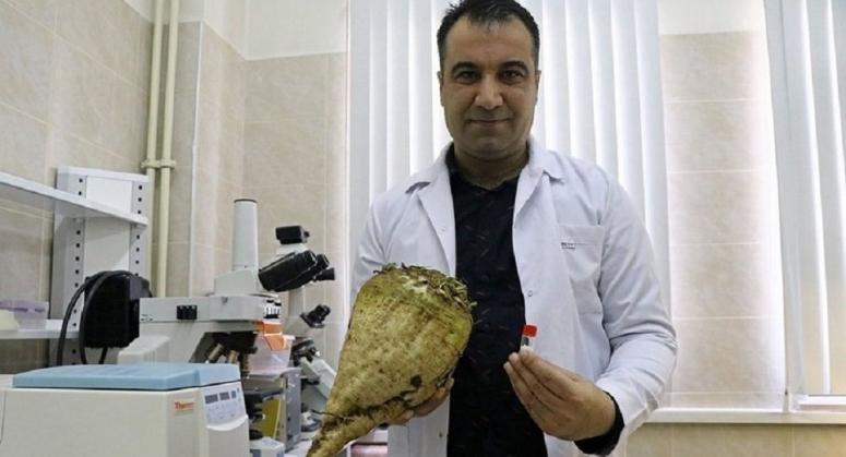 Erciyes Üniversitesi, Tarım Verimini Artıracak Bir Bakteri Geliştirdi