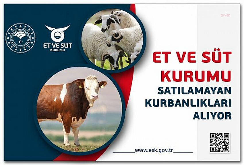 Et ve Süt Kurumu satılamayan kurbanlıkları alacak