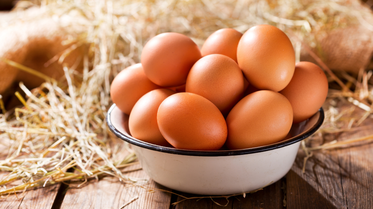Akman: Yumurta fiyatları yılın ikinci yarısında hızlı yükselecek