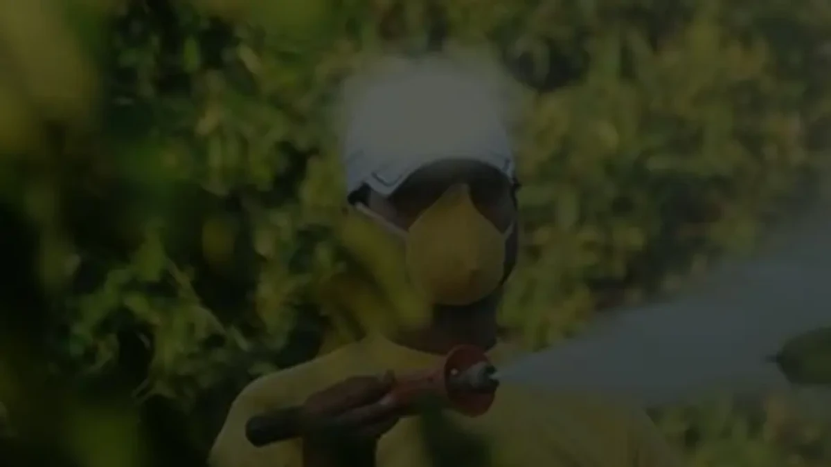 İnternet &uuml;zerinden ve re&ccedil;etesiz pestisit satışını yasaklandı.