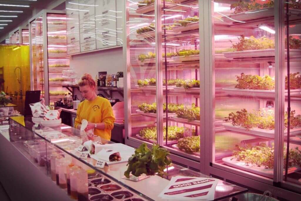 Kentsel Tarım Trend Oldu