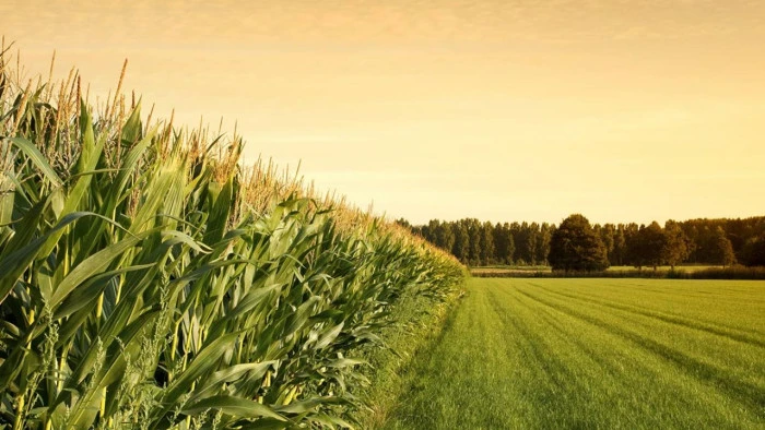 KGF'den G&uuml;neydoğu Avrupa Fonu ile işbirliği