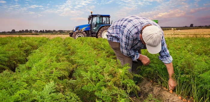 Kırsal Kalkınma Yatırım Programı 2026 başvuru d&ouml;nemi başladı