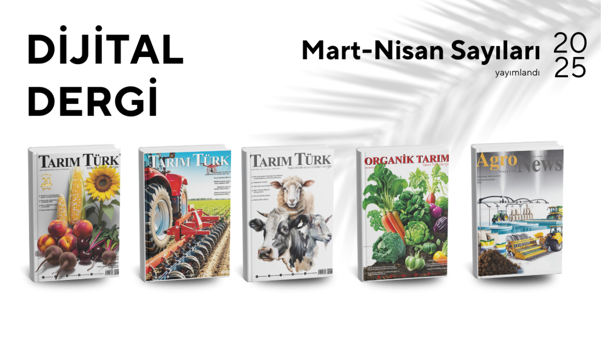 Mart-Nisan 2025 Sayısı Yayında