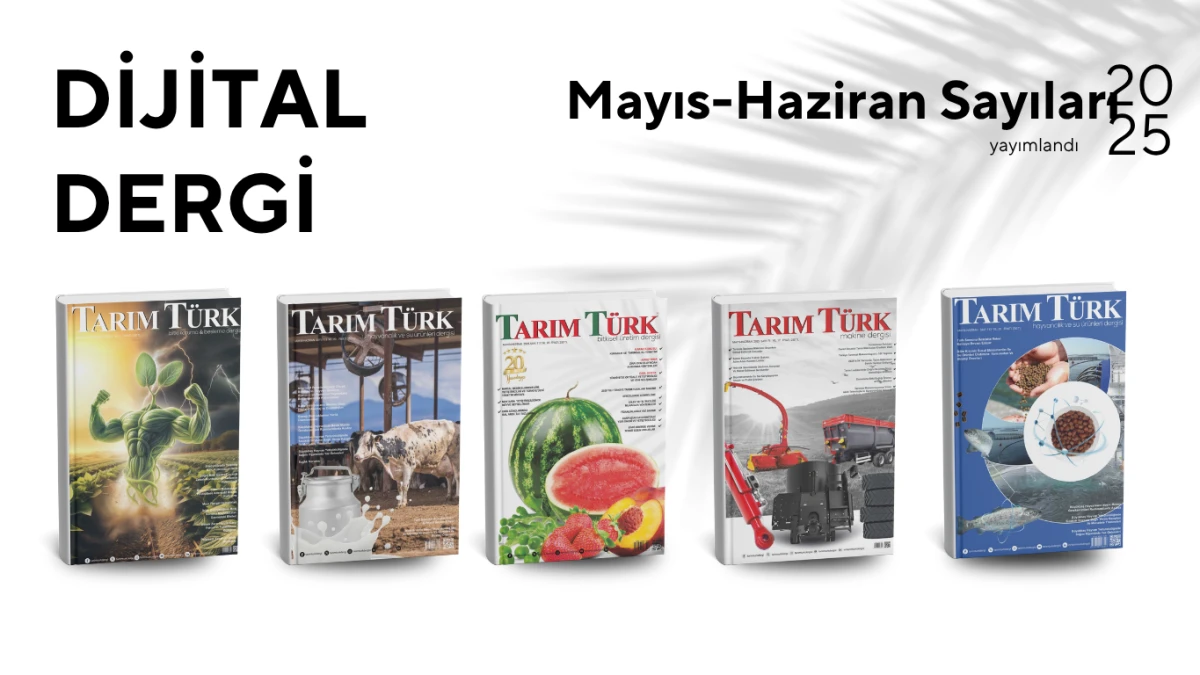 MAYIS-HAZİRAN 2025