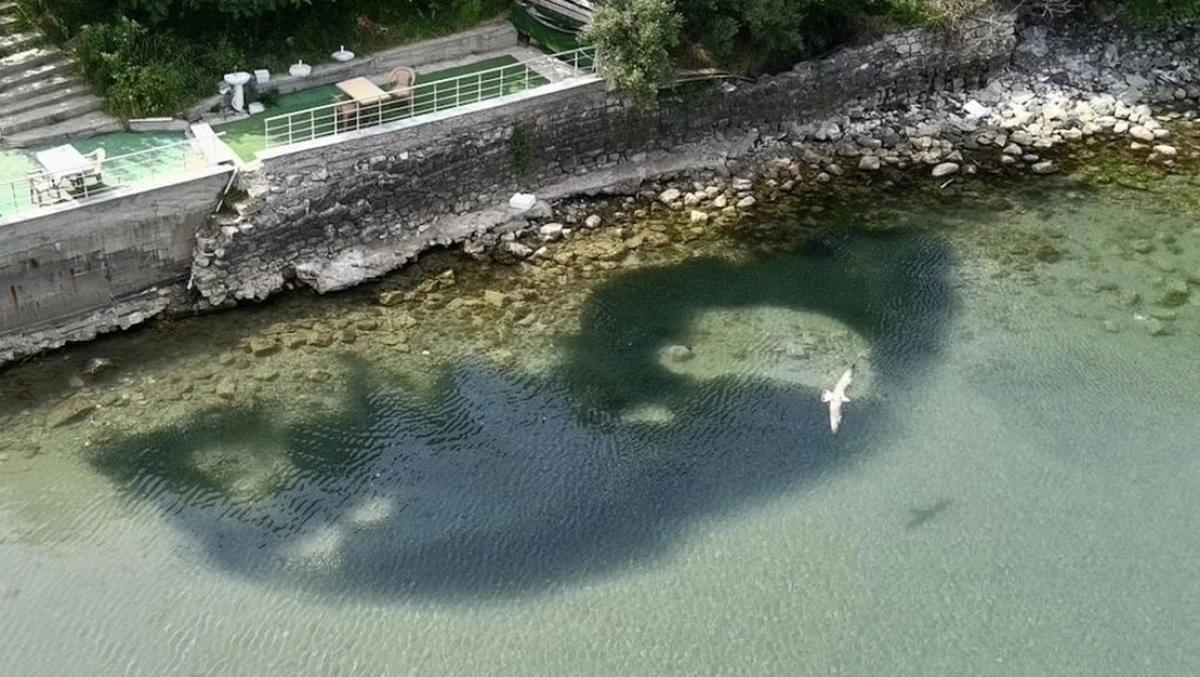 Sinop’ta Deniz Soğuğu Olayı: Hamsi ve Somon Balığı Kıyıya Vurdu