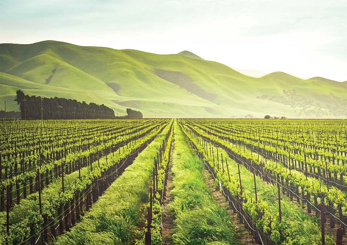Tarım sezonunun ilk yarısında yağışlar rekor seviyeye ulaştı