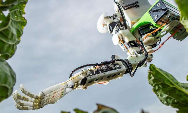 İşçi Robotlar Tarlada Çalışacak