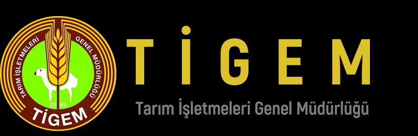 9 bin 750 baş reforme erkek kuzu ihaleyle satılacak