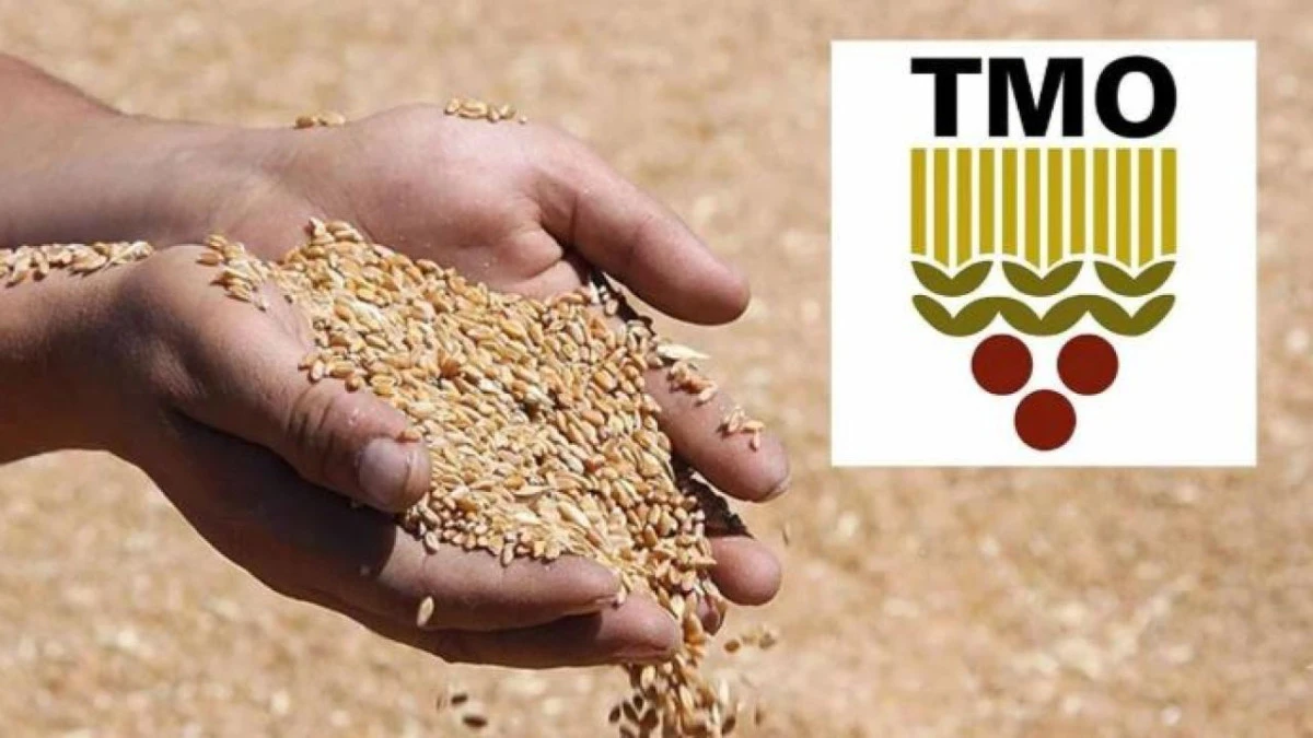 TMO 2026 yılı hububat alım fiyatlarını a&ccedil;ıkladı! İşte buğday, arpa fiyatları ve Bakanlık destekleri