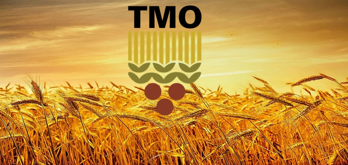 TMO Genel M&uuml;d&uuml;r&uuml; Ahmet G&uuml;ldal'dan a&ccedil;ıklama !