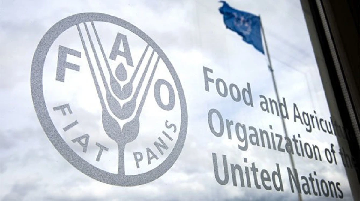 Türkiye, FAO konsey üyeliğine seçildi
