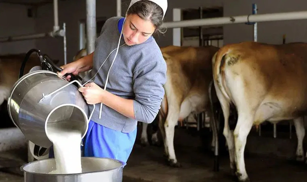 Üretici, çiğ sütte fiyat beklentisini açıkladı