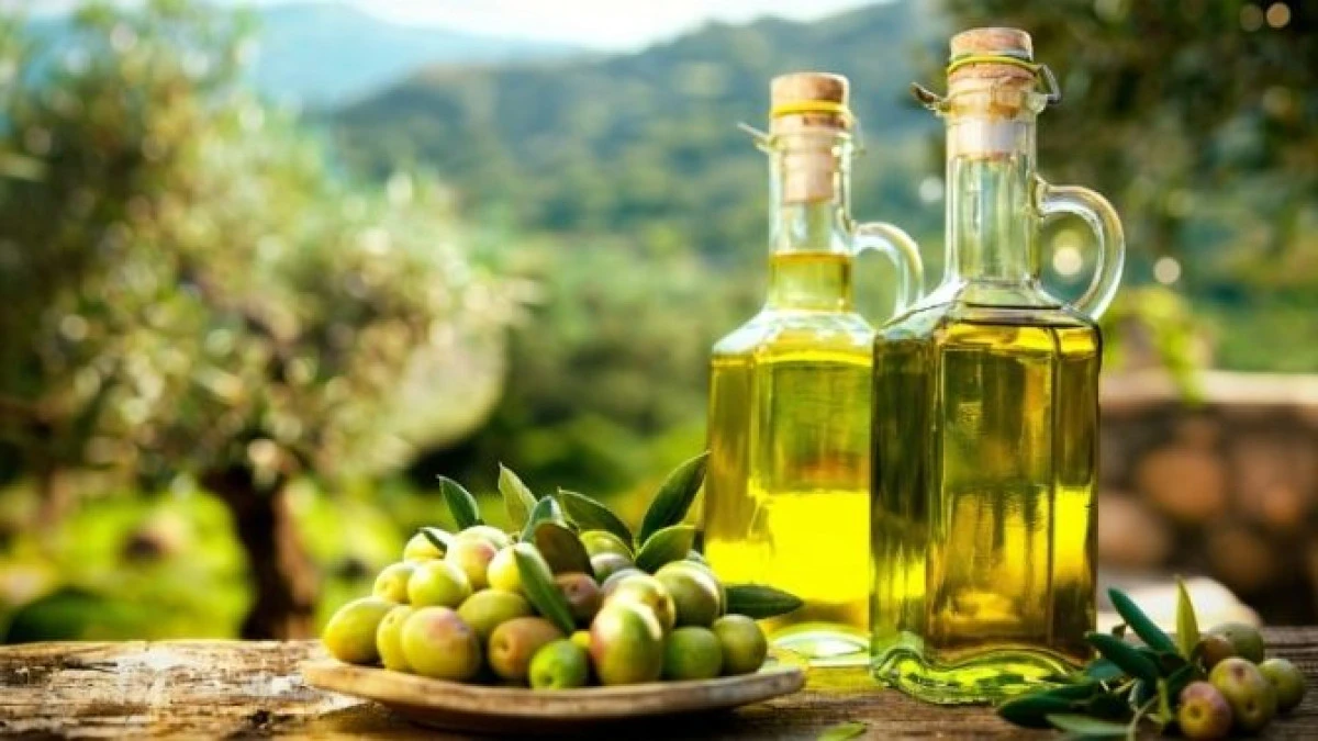 UZZK zeytin ve zeytinyağı rekolte tahminini açıkladı