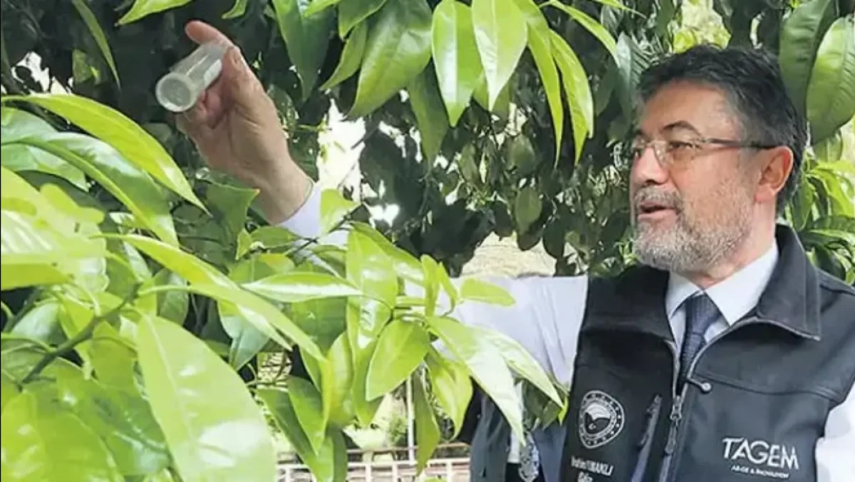 Yerli tohumda tarihi adım: 39 yeni bitki &ccedil;eşidi
