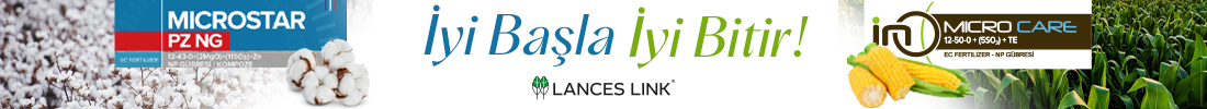 Lances Link