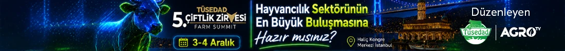 TÜSEDAD